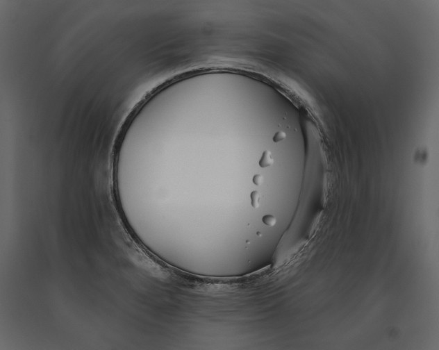 X0000091071280200708271208