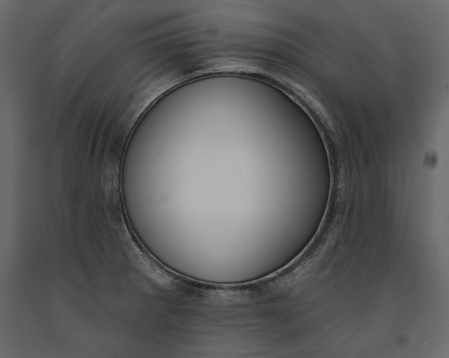 X0000091071281200708271208