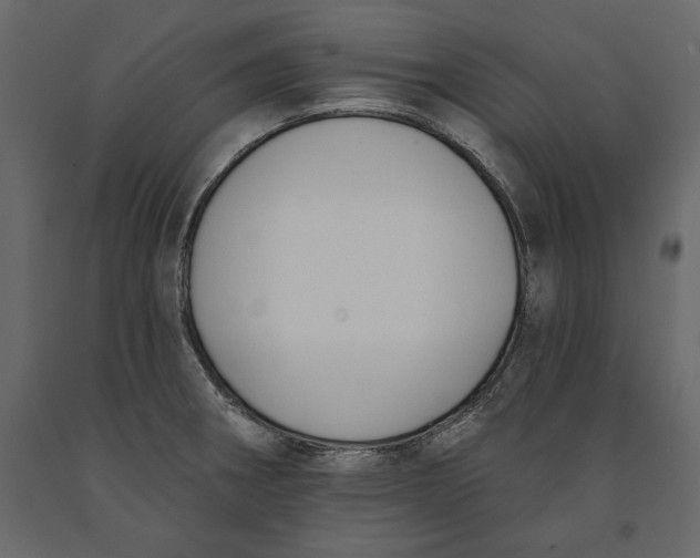 X0000091071282200708271208