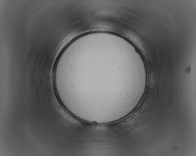 X0000091071283200708271208