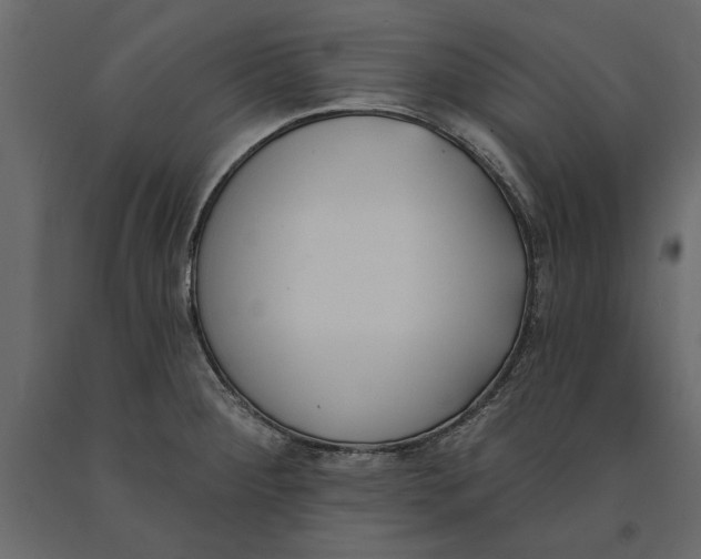 X0000091071284200708271208