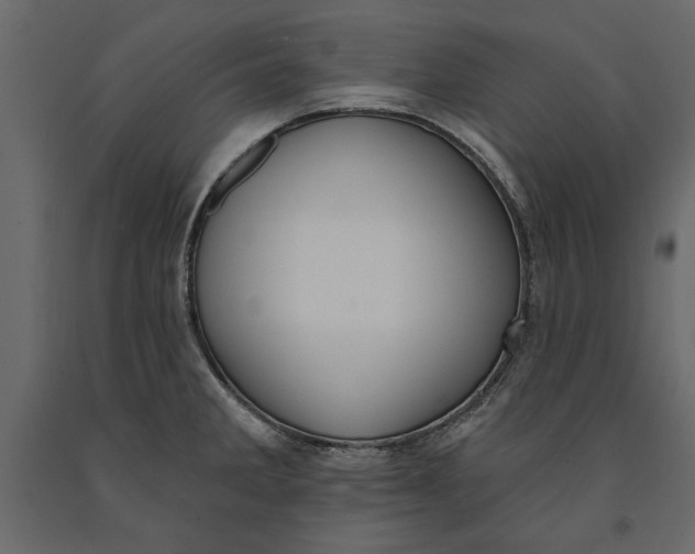 X0000091071285200708271208