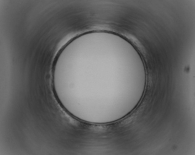 X0000091071286200708271208