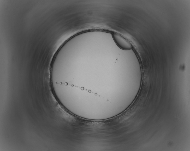 X0000091071287200708271208