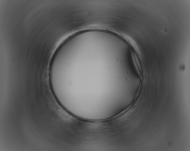 X0000091071288200708271208