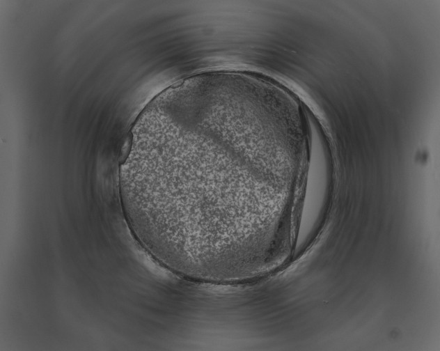 X0000091071289200708271208