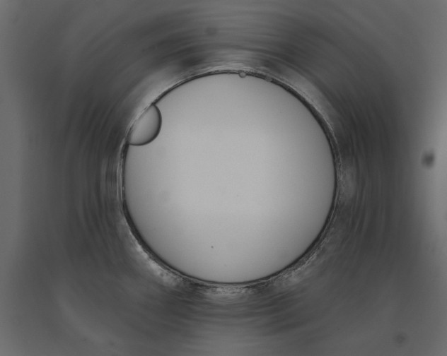 X0000091071290200708271208