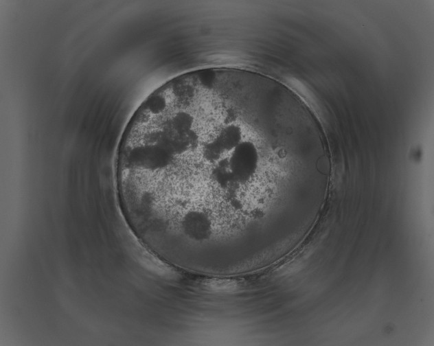 X0000091071291200708271208