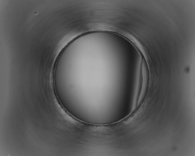 X0000091071293200708271208