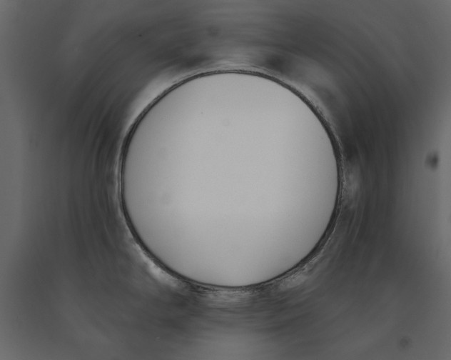 X0000091071294200708271208