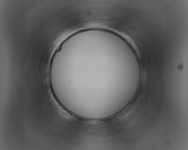 X0000091071295200708271208