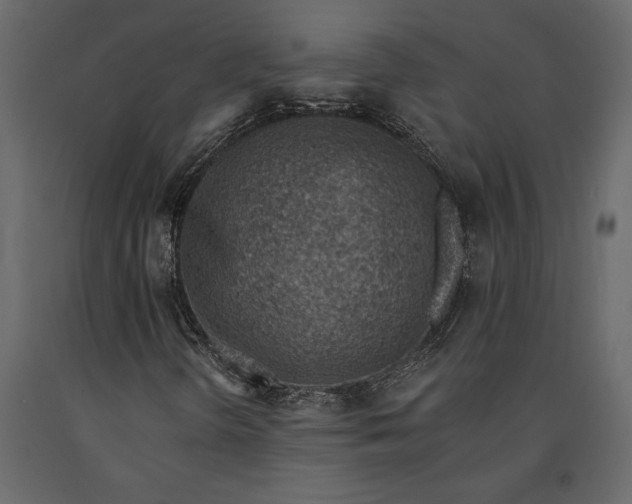 X0000091071298200708271207