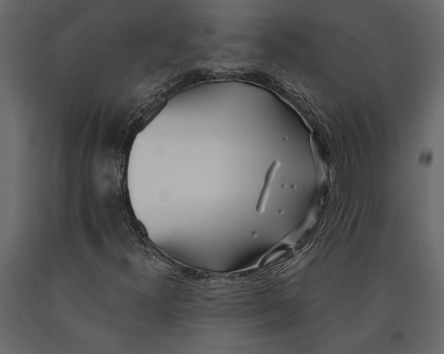 X0000091071300200708271207