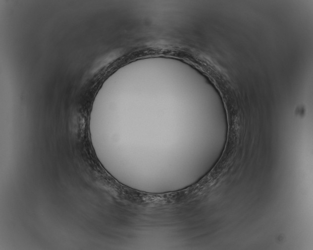 X0000091071302200708271207