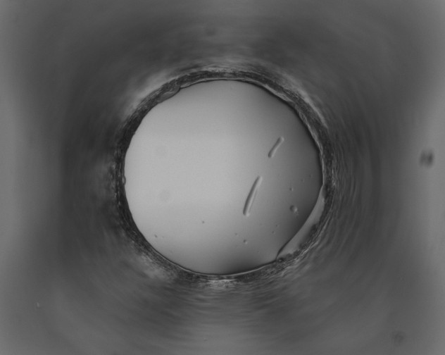 X0000091071304200708271208