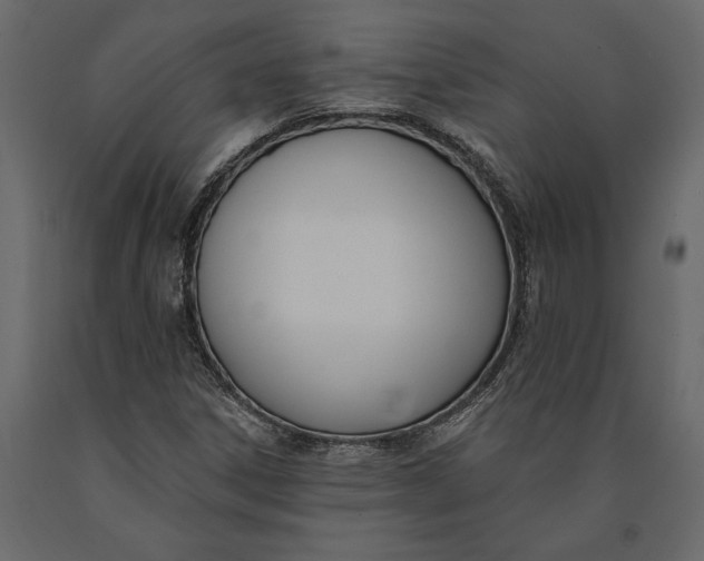 X0000091071306200708271208