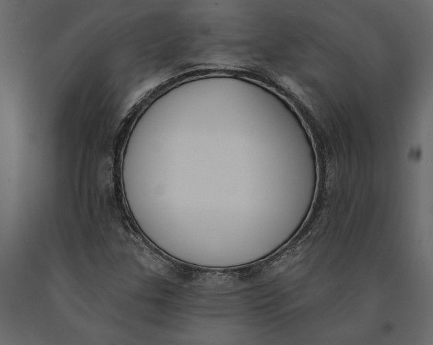 X0000091071307200708271208