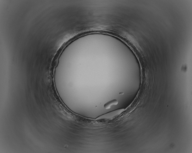 X0000091071308200708271208