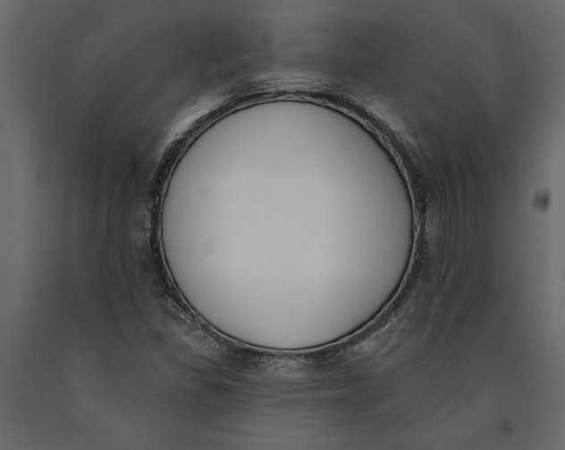 X0000091071309200708271208