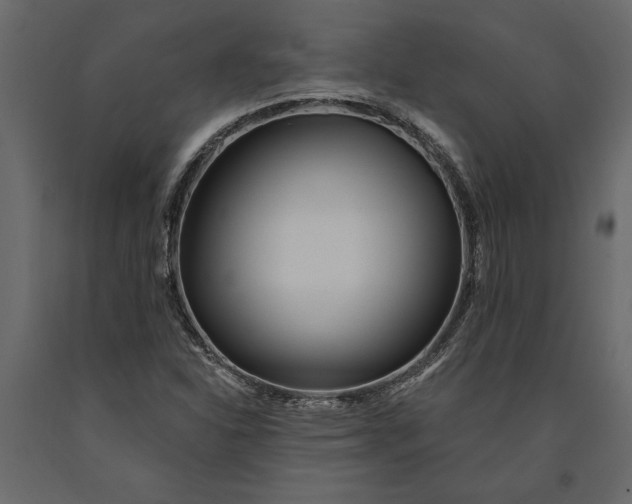 X0000091071310200708271208