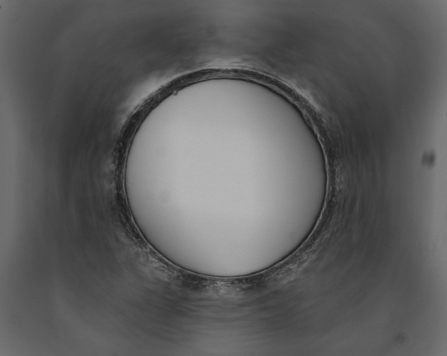 X0000091071311200708271208