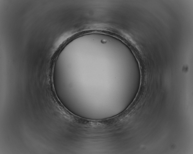 X0000091071312200708271208