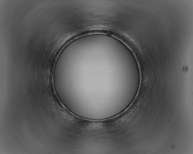 X0000091071313200708271208