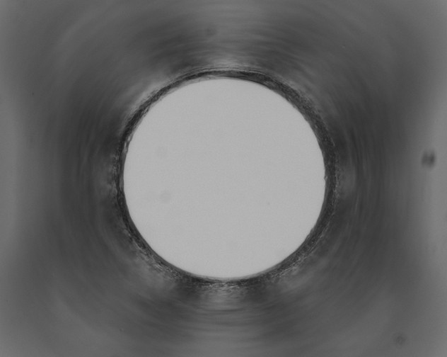 X0000091071314200708271208