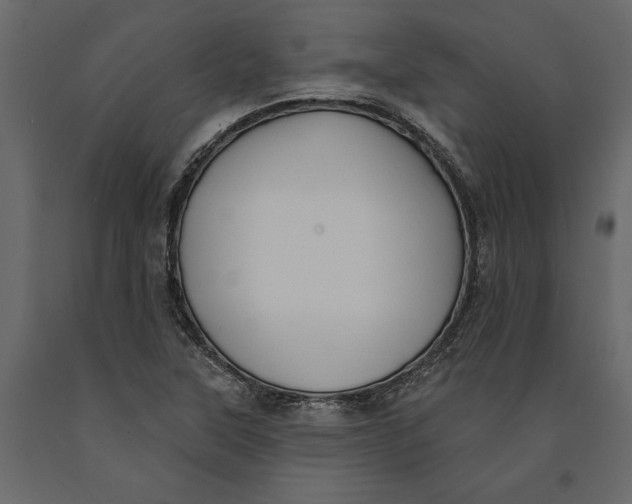 X0000091071315200708271208