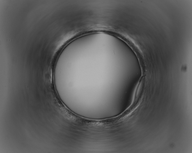 X0000091071317200708271208