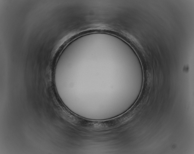 X0000091071318200708271208