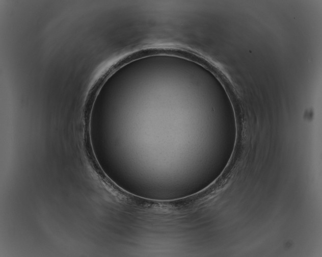 X0000091071319200708271208