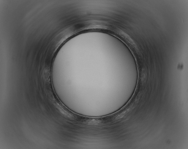 X0000091071321200708271208