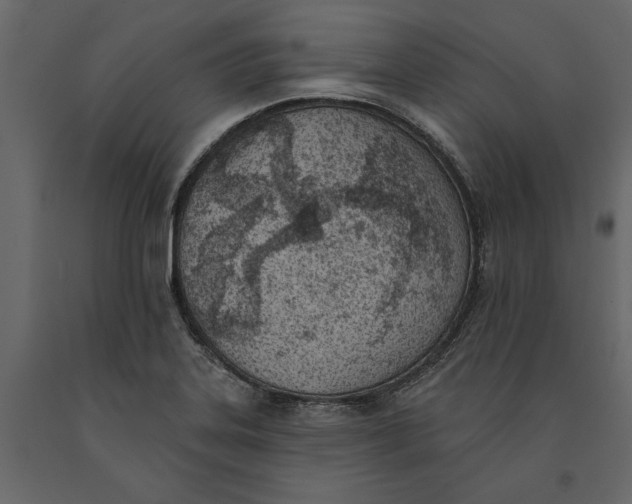 X0000091071323200708271208