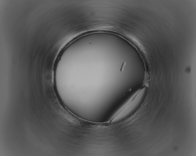 X0000091071324200708271208