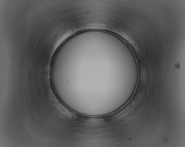 X0000091071325200708271208