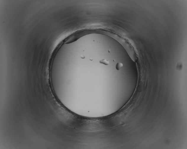 X0000091071328200708271208