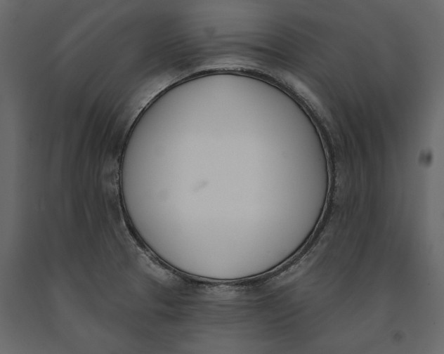 X0000091071329200708271208