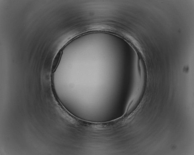 X0000091071330200708271208