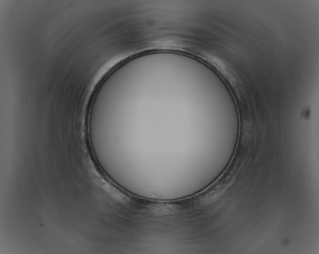 X0000091071331200708271208