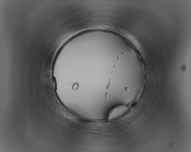 X0000091071332200708271208