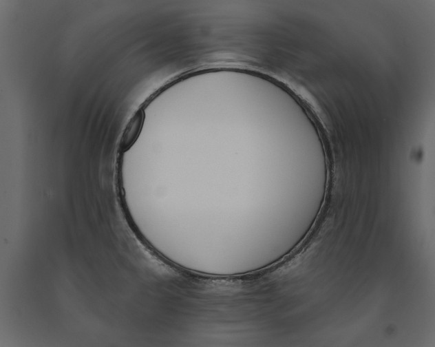 X0000091071333200708271208