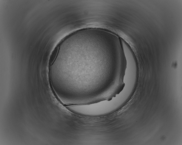 X0000091071334200708271208