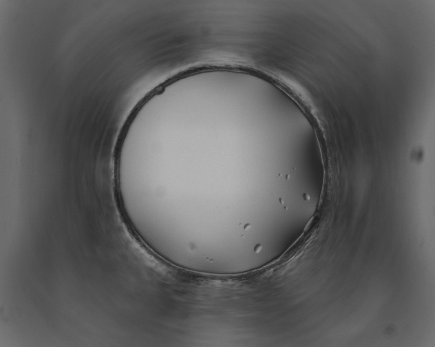 X0000091071335200708271208