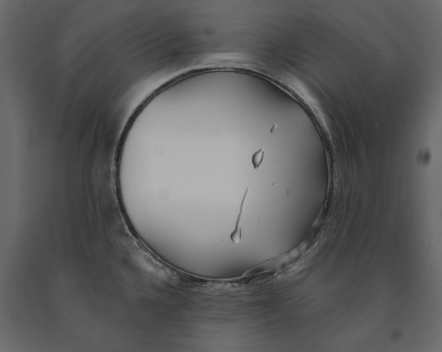 X0000091071336200708271208