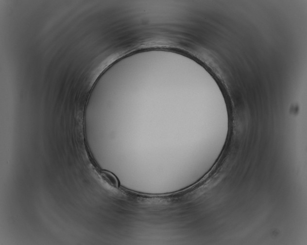 X0000091071337200708271208