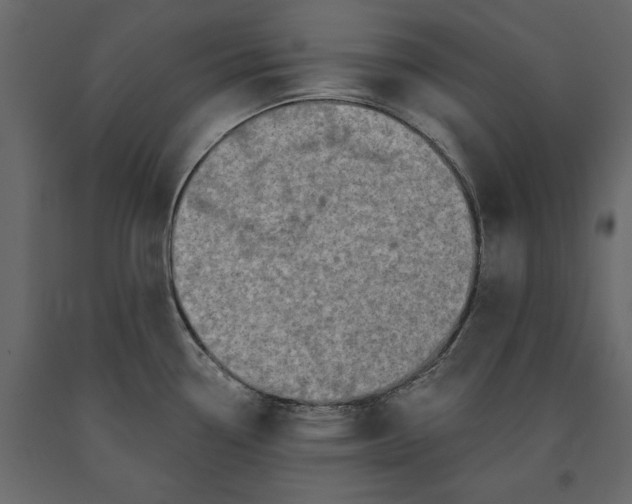 X0000091071338200708271208