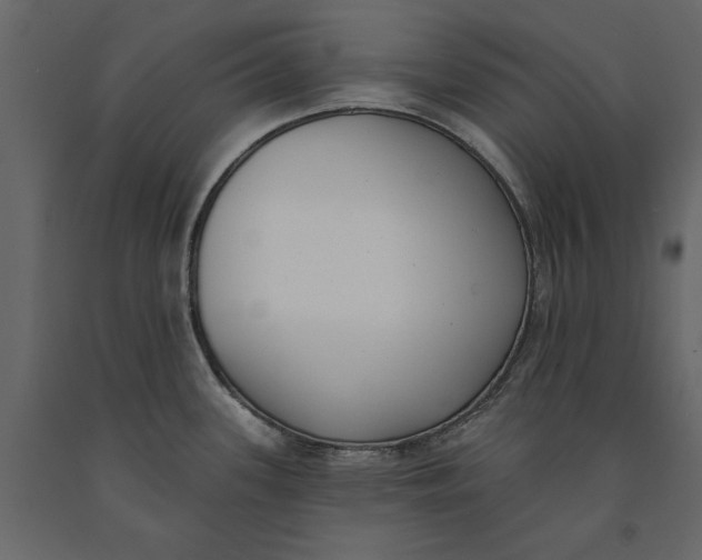 X0000091071339200708271208