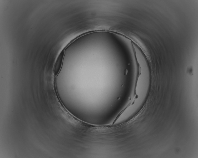 X0000091071340200708271208