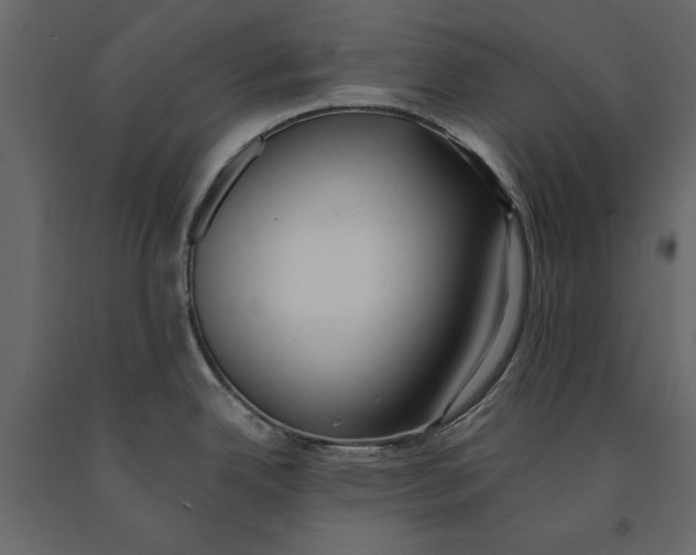 X0000091071342200708271208